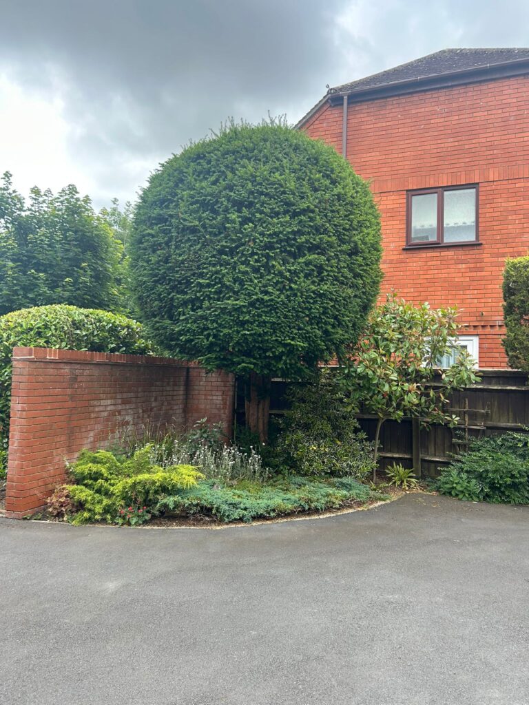 Seasonal Gardening Tips for Cardiff Homeowners
