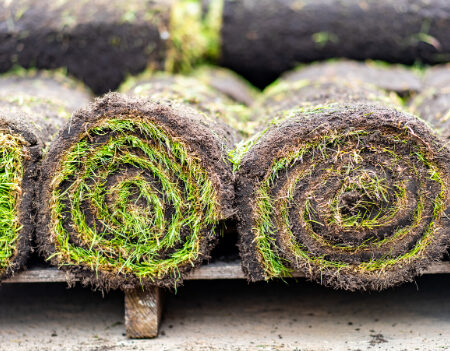 turf laying in South Wales
