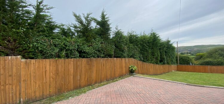 Professional Driveway Cleaning Services in Radyr