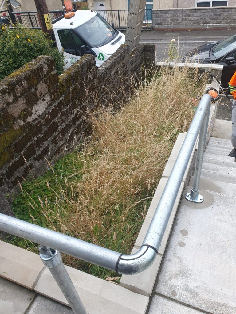 Garden Clearance Port Talbot
