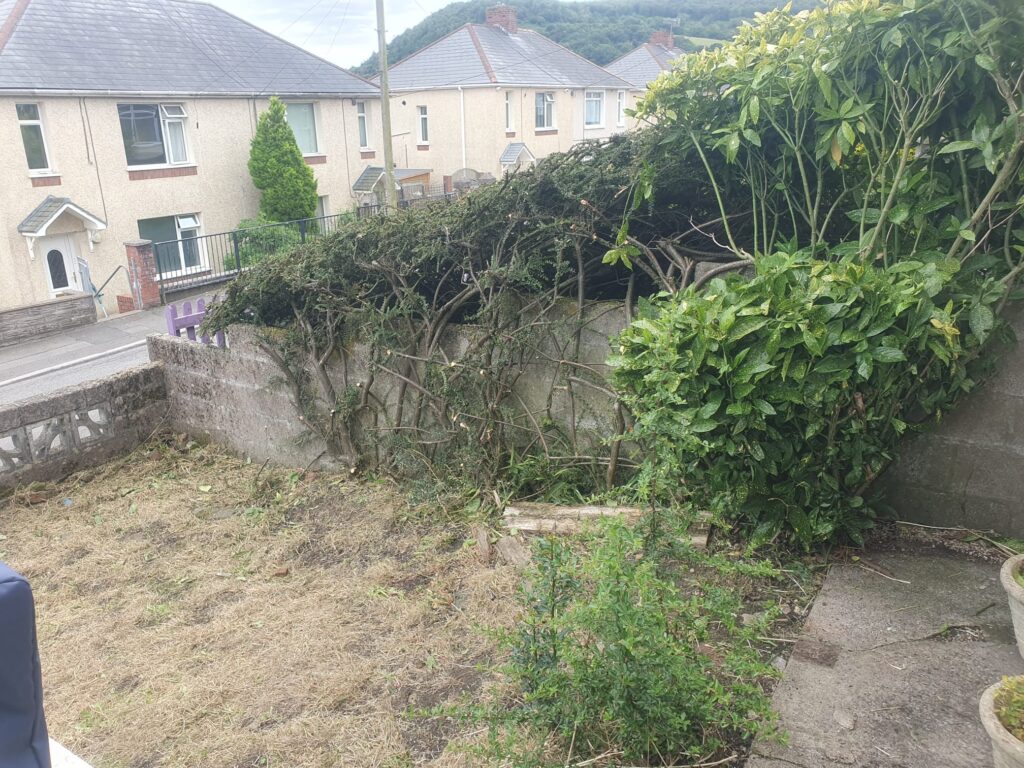 Garden Clearance Port Talbot