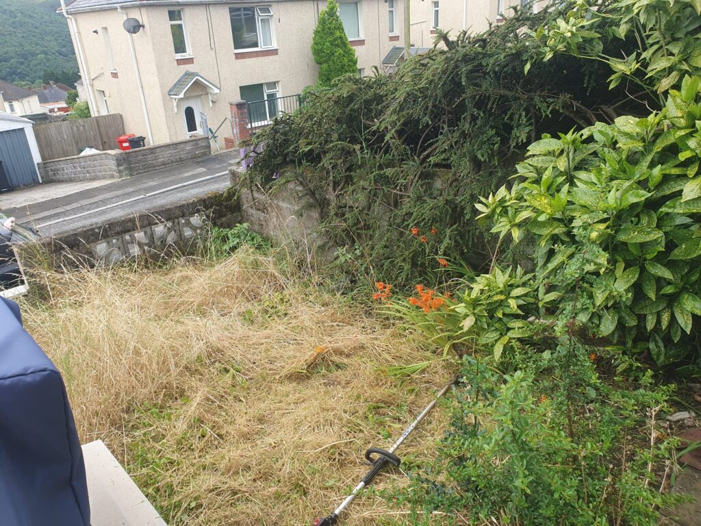 Garden Clearance Port Talbot