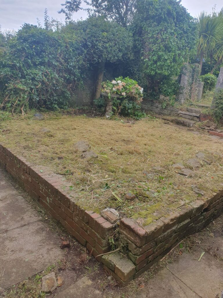 Garden Clearance Port Talbot