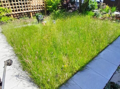 grass cutting south wales