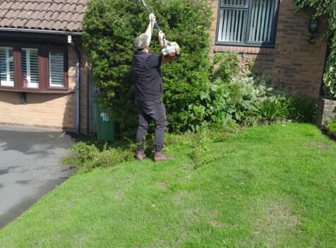 hedge cutting south wales