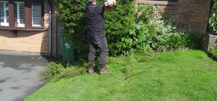 Benefits of Regular Hedge Trimming for Your Garden in Cardiff