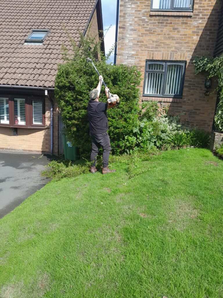 Benefits of Regular Hedge Trimming for Your Garden in Cardiff