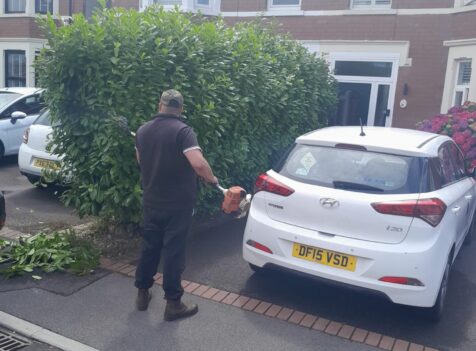 hedge cutting south wales