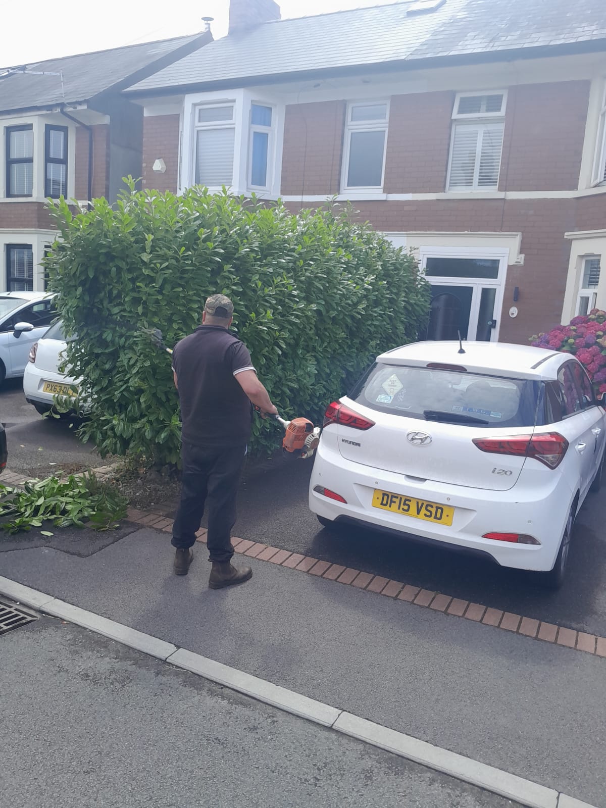 hedge cutting south wales
