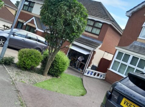 tree pruning south wales