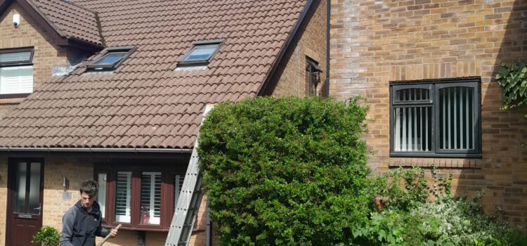 Benefits of Regular Hedge Trimming in Abertillery