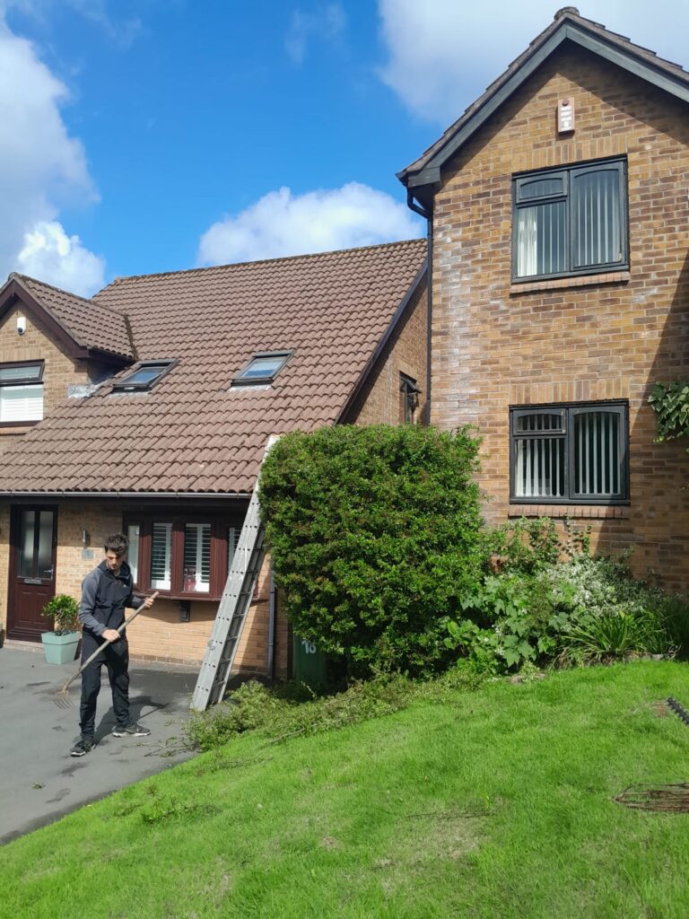 Benefits of Regular Hedge Trimming in Abertillery