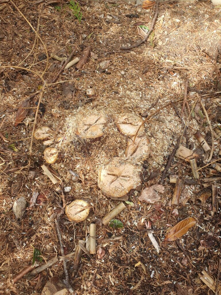 wood chippings Caerphilly