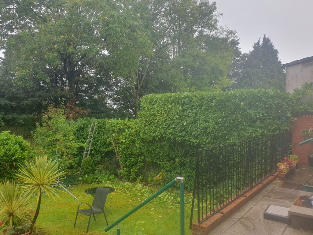 hedge trimming cardiff