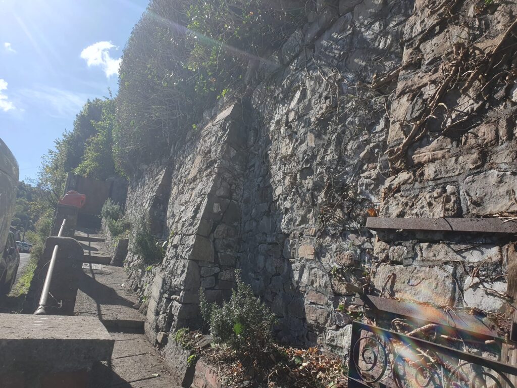ivy removal in barry
