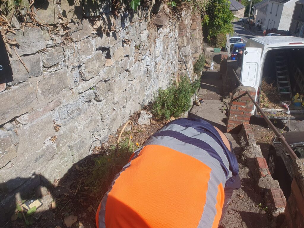 ivy removal in barry