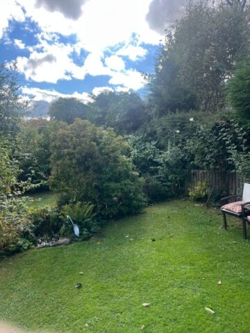 Hedge maintenance Blackwood