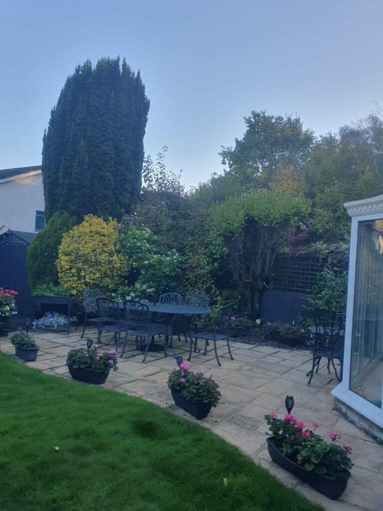 Professional Hedge Maintenance in Fairwater, Cardiff