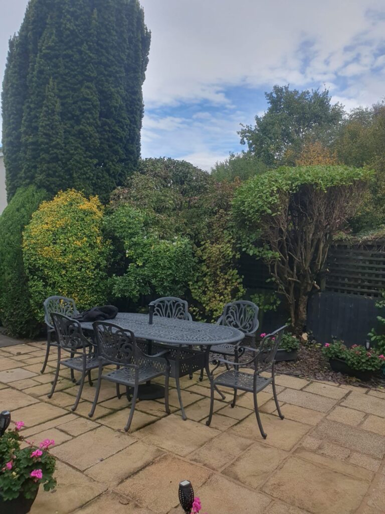 Professional Hedge Maintenance in Fairwater, Cardiff