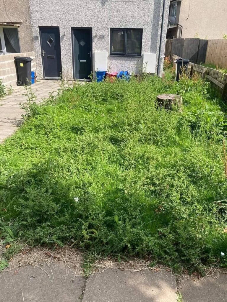 garden clearance in penarth