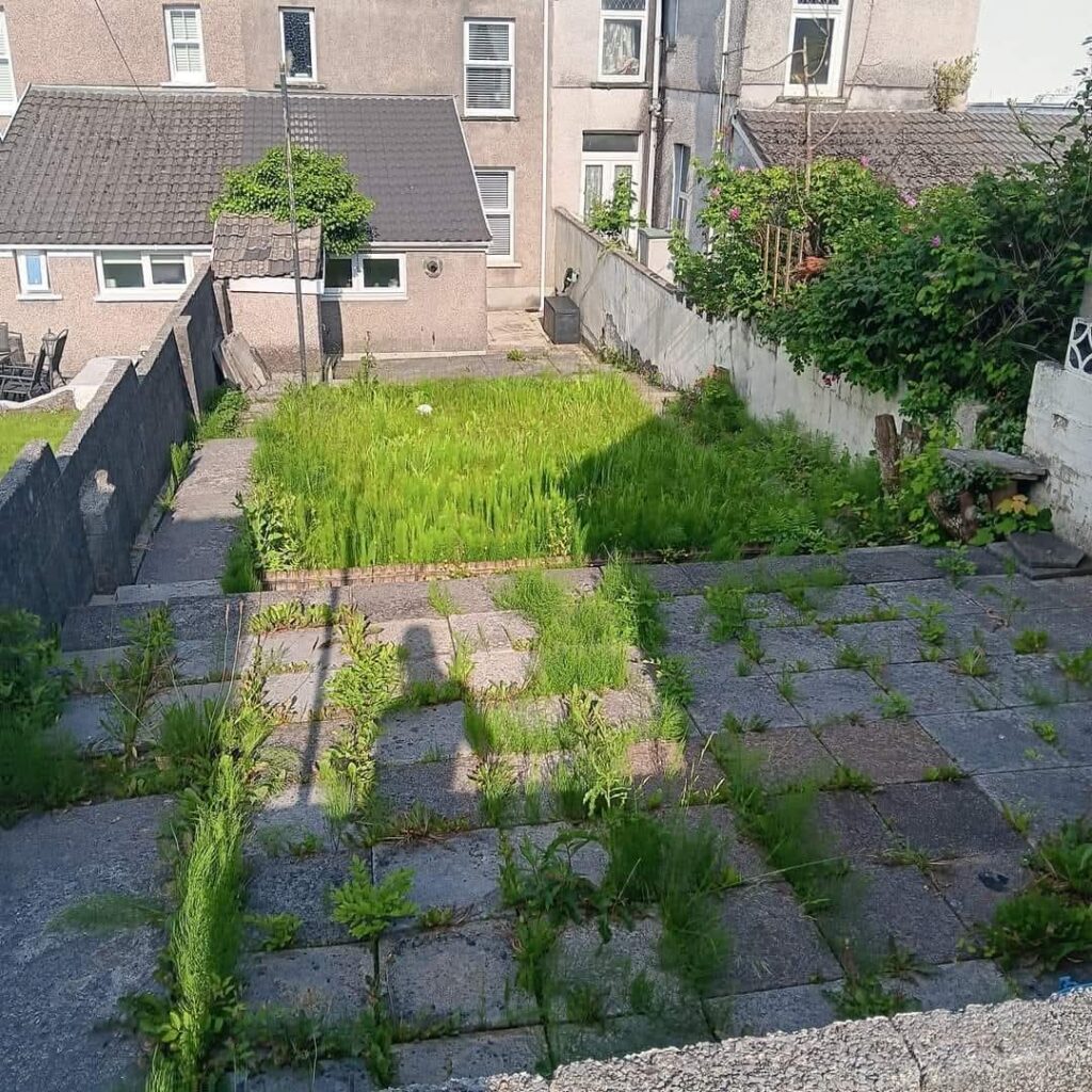 garden clearance in penarth