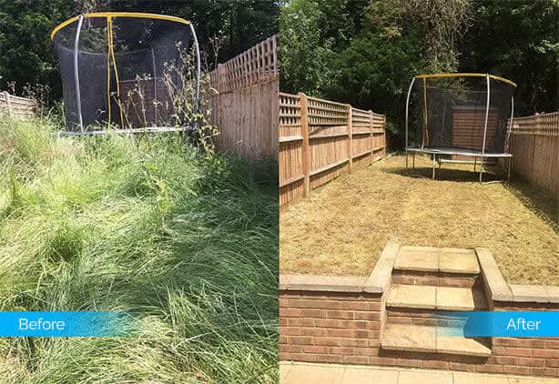 garden clearance in penarth