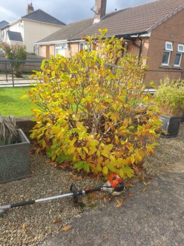 a1-orchard-landscaping-garden-hedge-maintenance-pontyclun-7