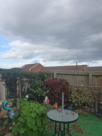 a1-orchard-landscaping-garden-hedge-maintenance-pontyclun hedge maintenance pontyclun