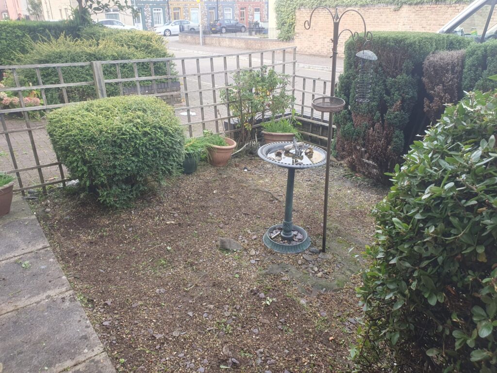 garden tidy up service barry