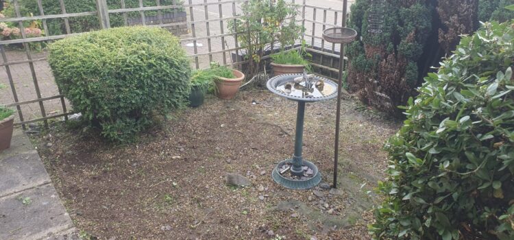 garden tidy up service barry