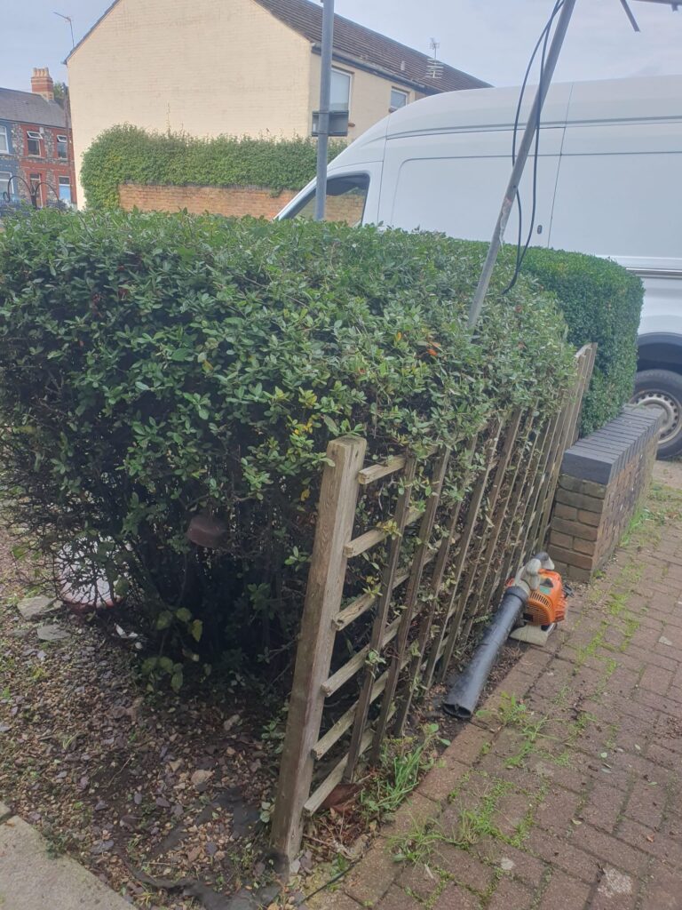garden tidy up service barry