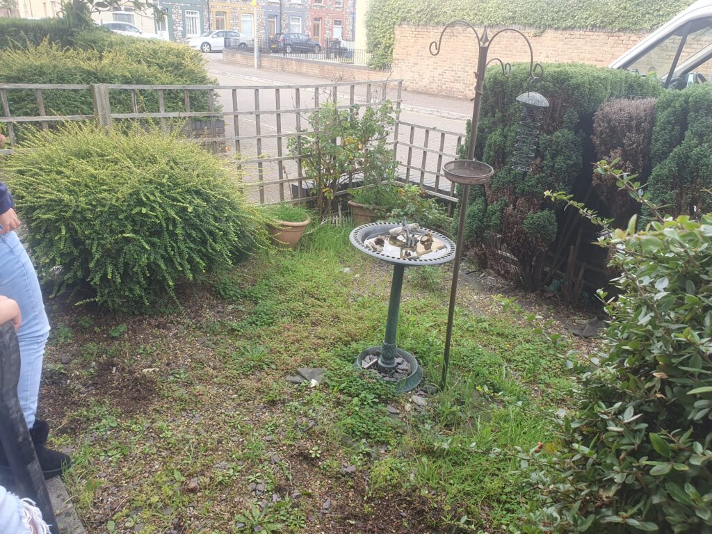 garden tidy up service barry