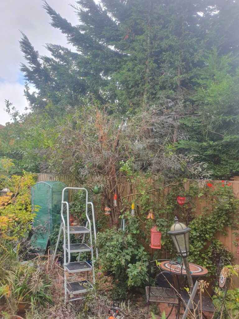 garden tidy up service cardiff