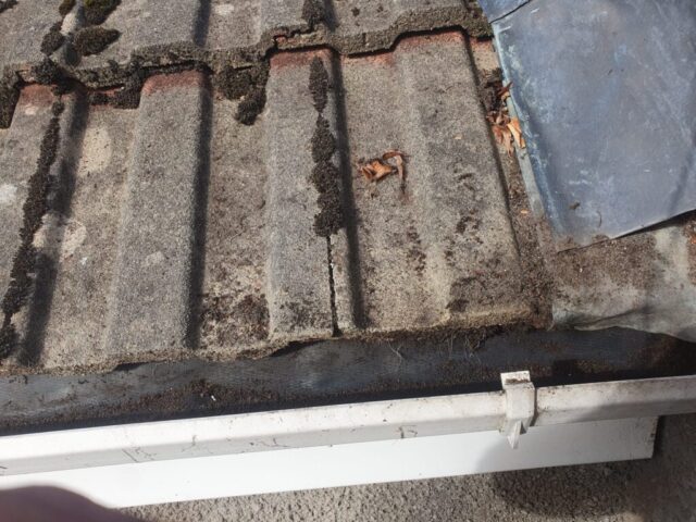 gutter cleaning penarth
