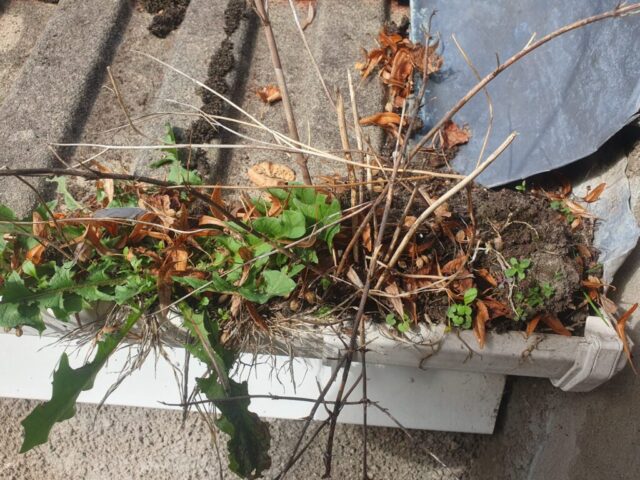 gutter cleaning penarth