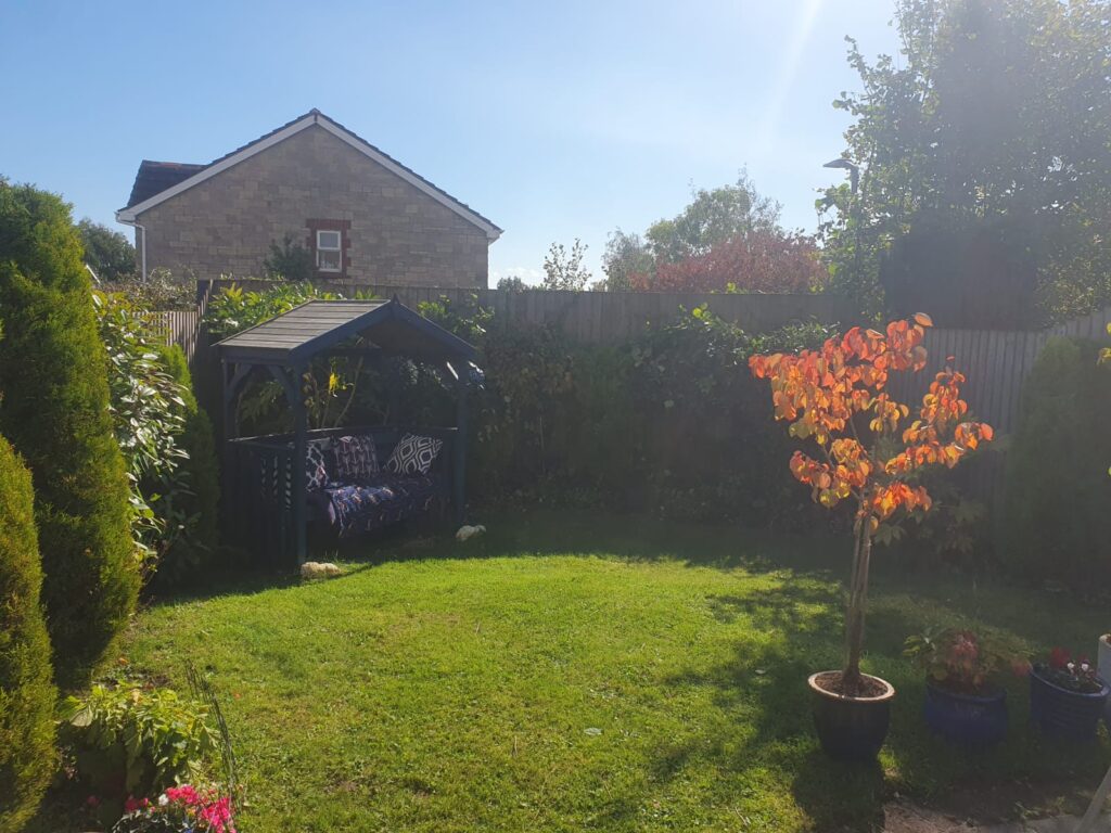hedge maintenance Peterston super Ely