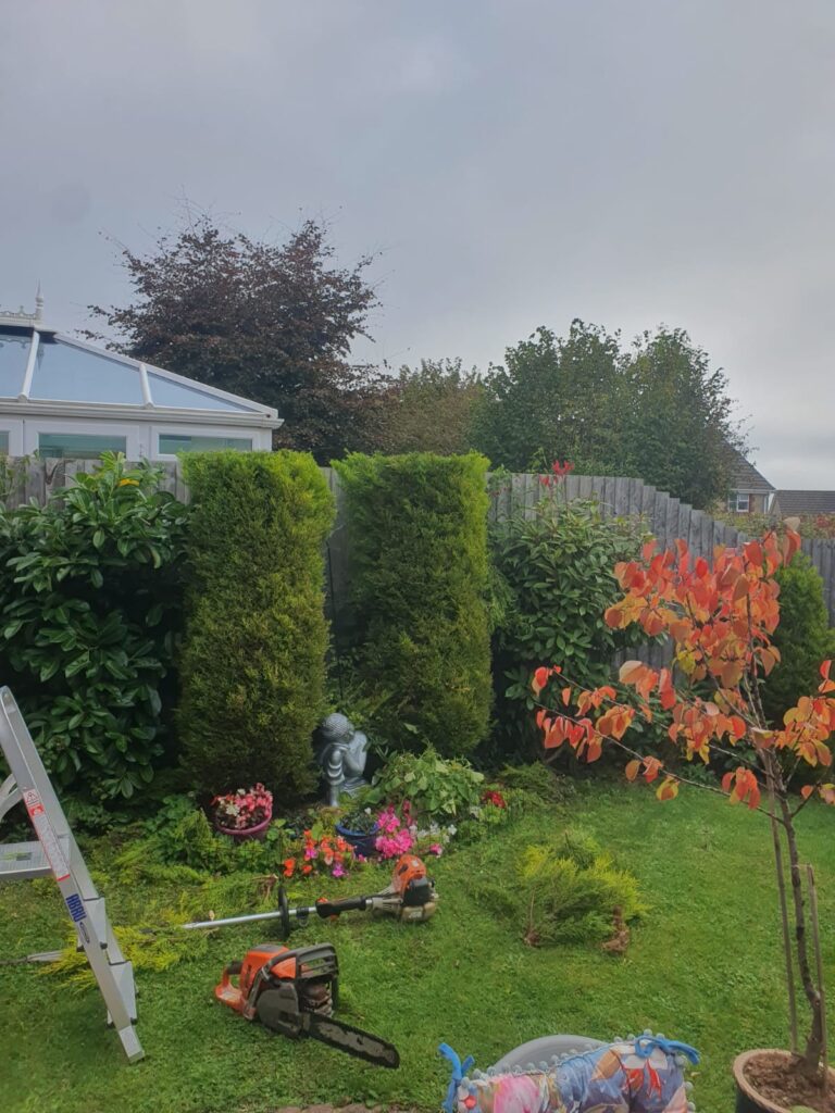 hedge maintenance Peterston super Ely