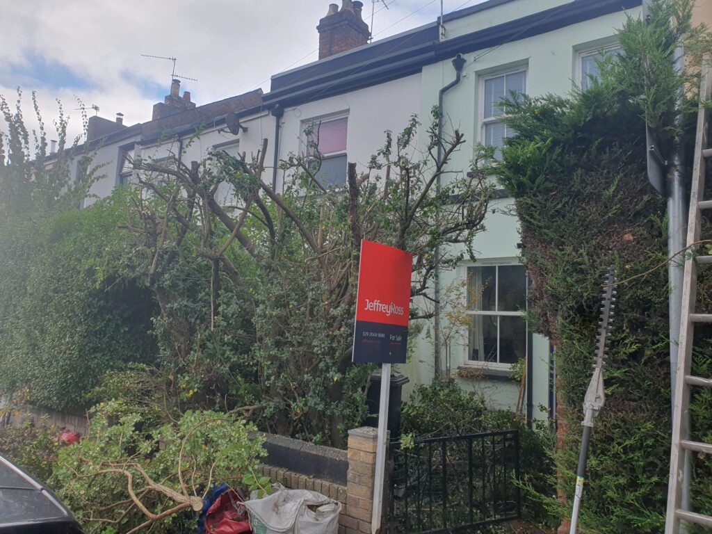 tree pruning Pontypridd