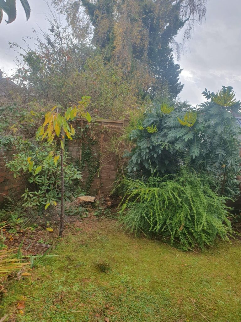 fir tree removal cardiff