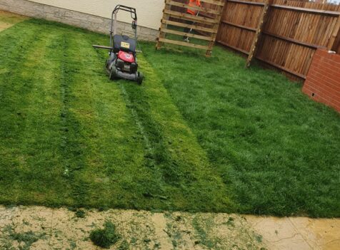 Garden Maintenance in Cowbridge