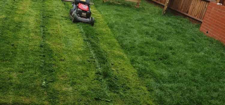 Garden Maintenance in Cowbridge