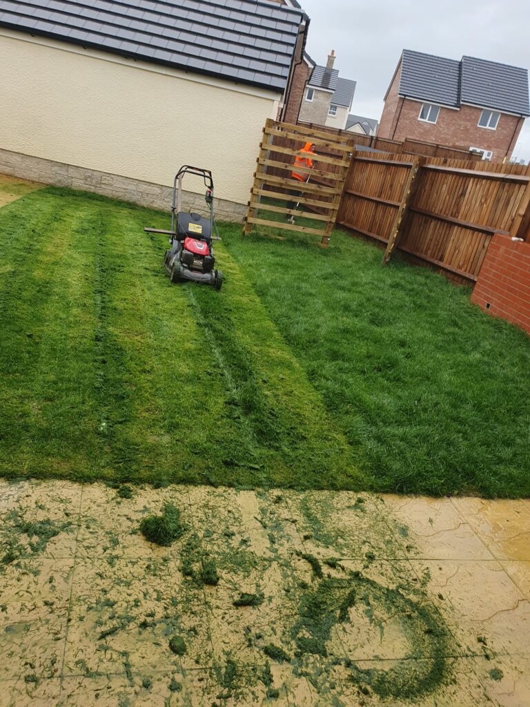 Garden Maintenance in Cowbridge