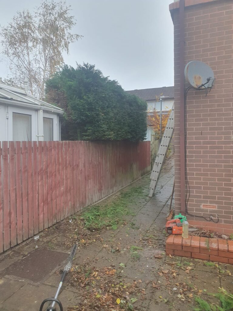 hedge cutting to size cardiff