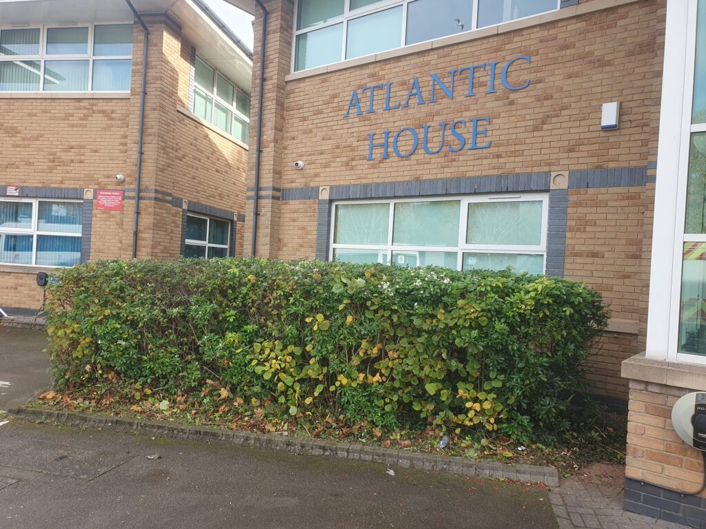 hedge maintenance cardiff