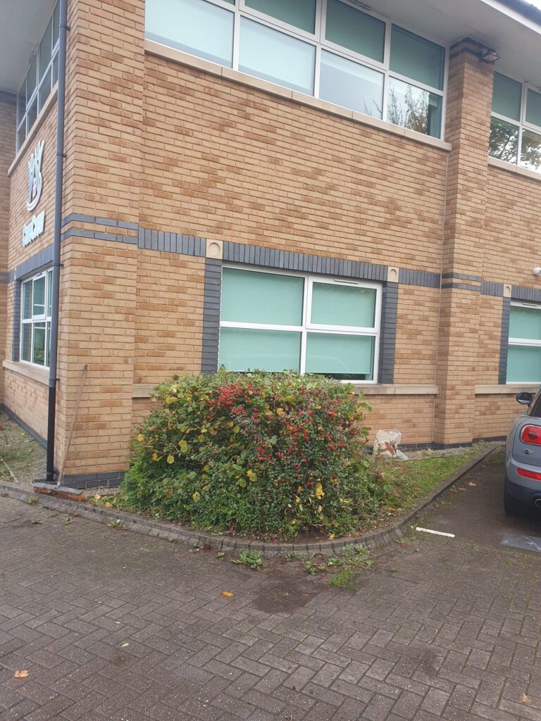 hedge maintenance cardiff