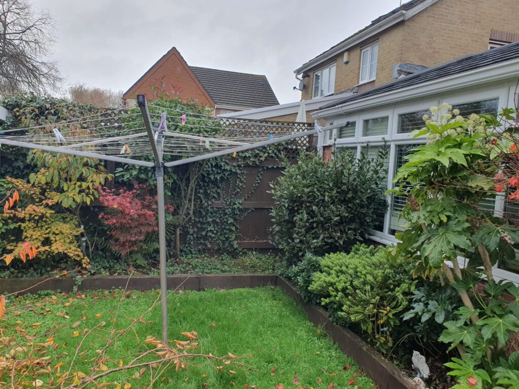 tree Pruning cowbridge