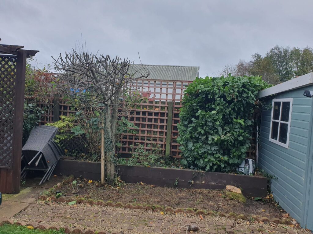 Professional tree pruning in Cowbridge