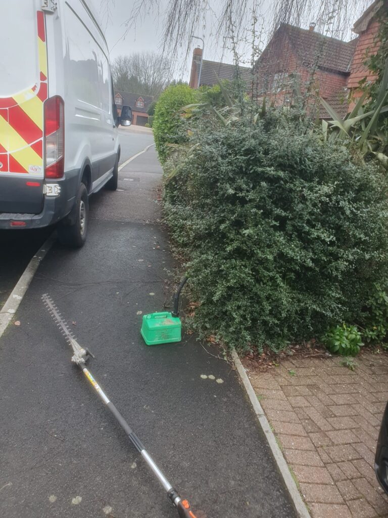 Hedge Cutting & Maintenance in Penarth