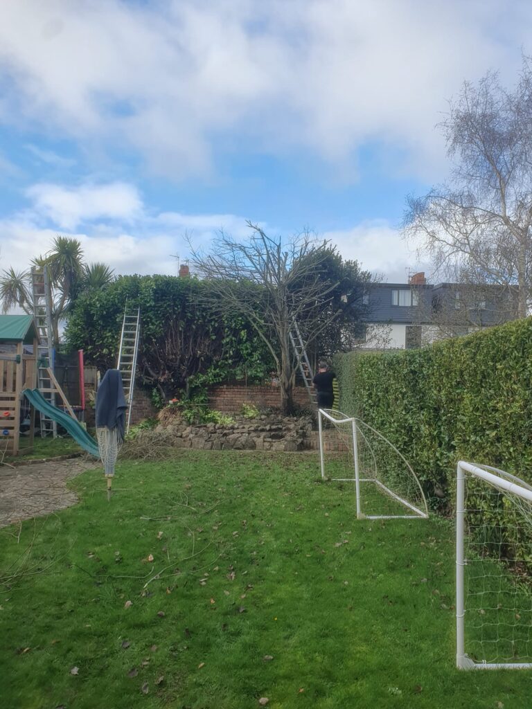 Tree reduction in Cardiff