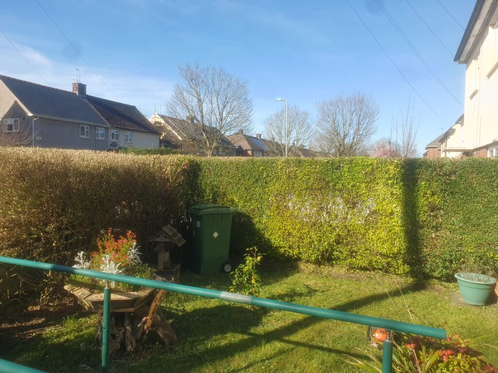 Hedge Cutting Services in Radyr